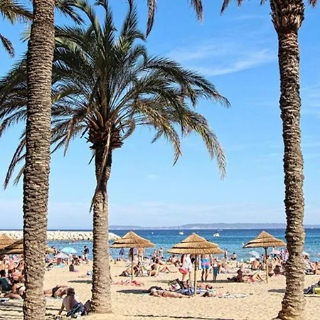Apartman T2 Avec Terrasse Au Centre Du Lavandou