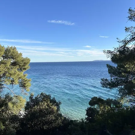 T2 Avec Terrasse Au Centre Du Lavandou